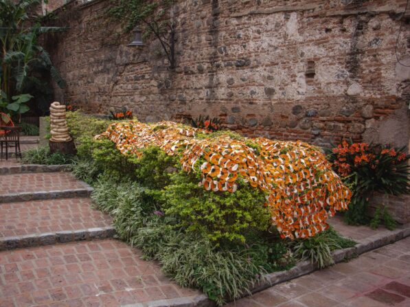 {{brizy_dc_image_alt entityId=