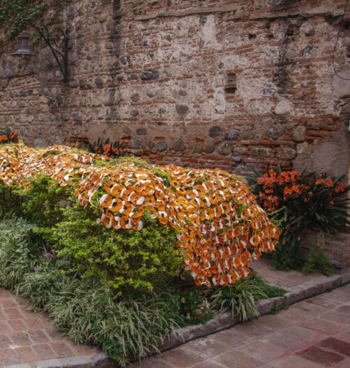 {{brizy_dc_image_alt entityId=